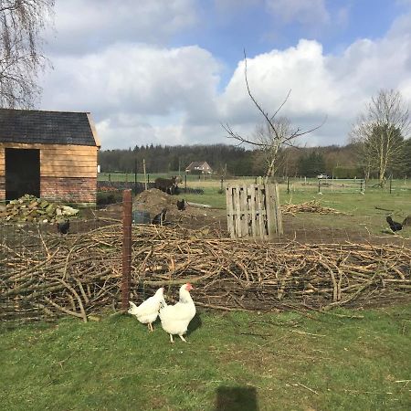 Nergena Zimmer Frei Goch Exterior foto